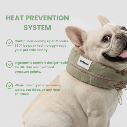 Dog wearing a green cooling collar with text about heat prevention system on a white background