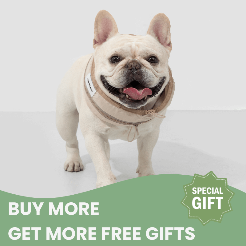 White dog wearing a beige sweater with promotional text on a light gray background