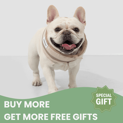 White dog wearing a beige sweater with promotional text on a light gray background