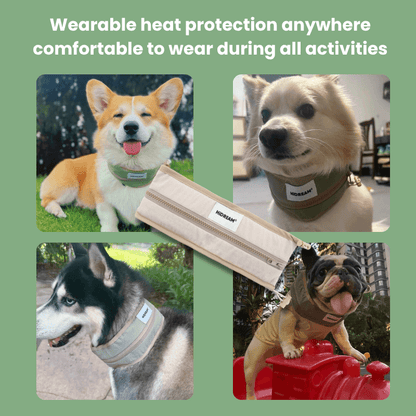 Collage of dogs wearing heat protection vests with text about their comfort during activities.