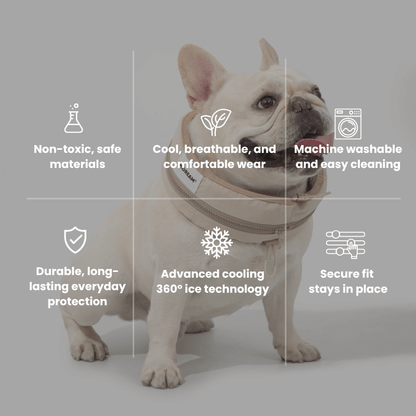 Dog wearing a cooling vest with features listed on a gray background