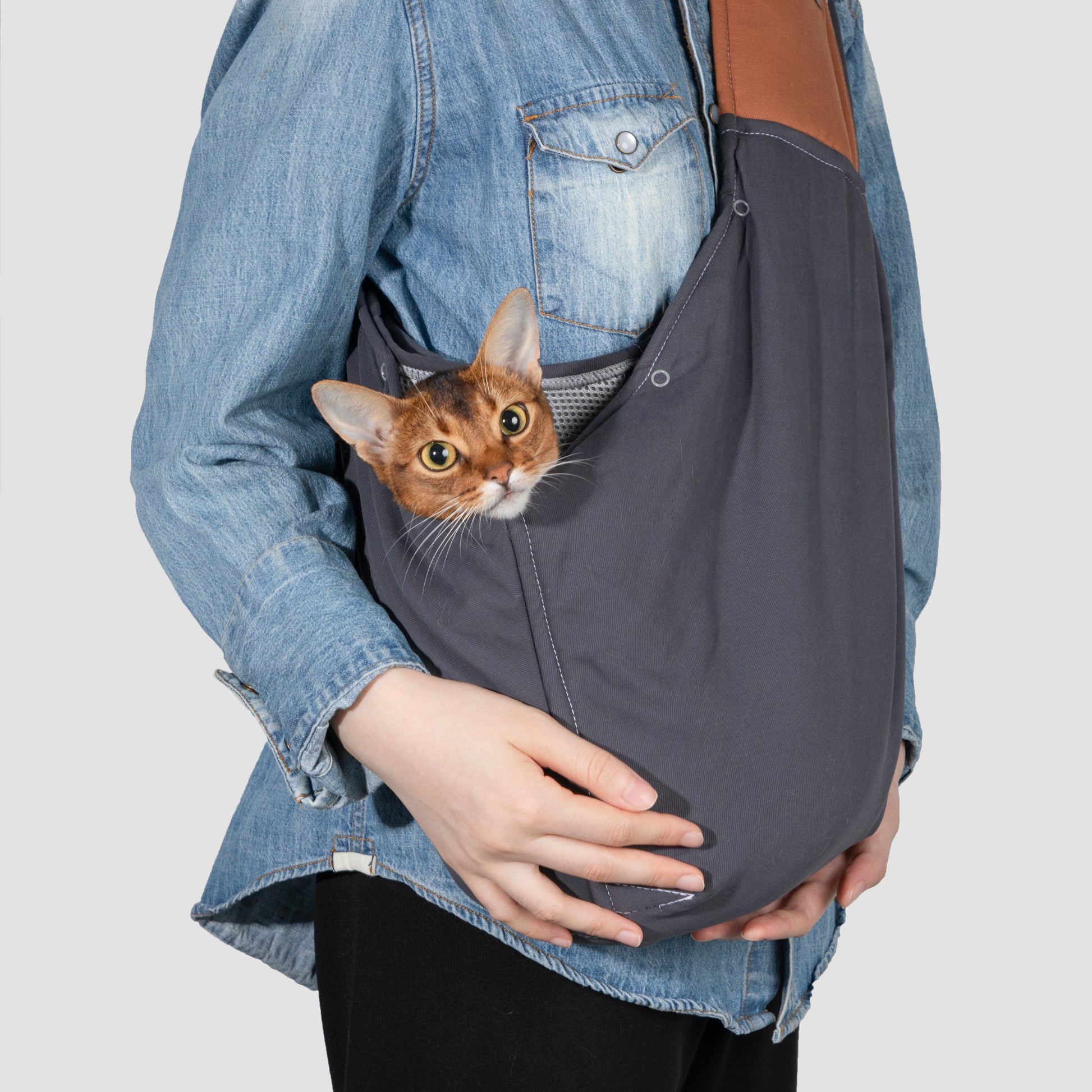 Person holding a cat in a gray sling against a white background