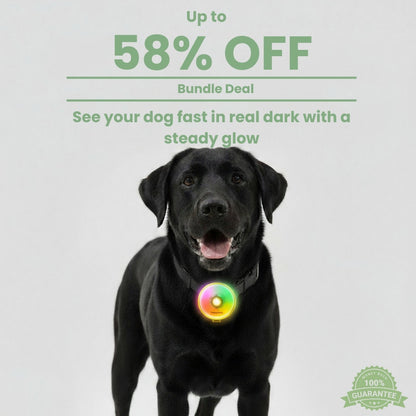 PetzyMart™ PawGlow