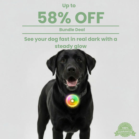 PetzyMart™ PawGlow