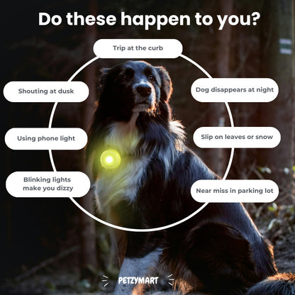 PetzyMart™ PawGlow