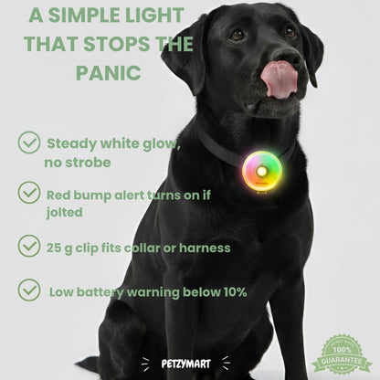 Black dog wearing a glowing collar with Petzymart branding and product features listed.