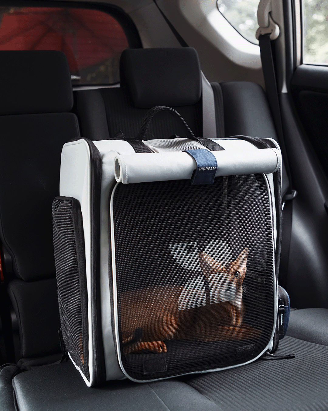 HiDREAM Expandable Pet Carrier Backpack Foldable Pet Carrier Backpack - PetzyMart