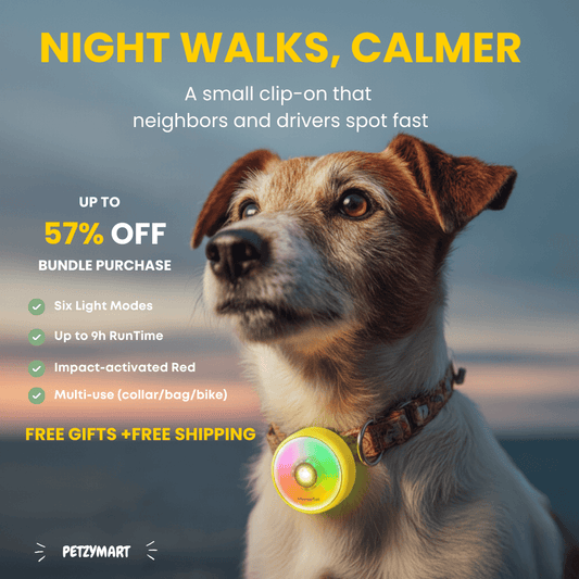 PetzyMart™ PawGlow