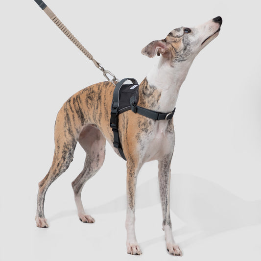 (NEW) Valley Series Dog Harness Vest Kit