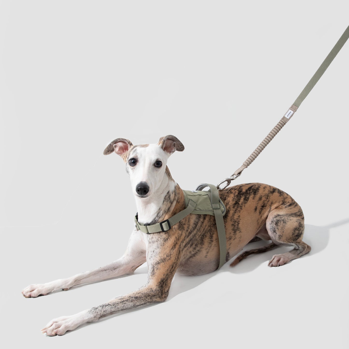 (NEW) Valley Series Dog Harness Vest Kit