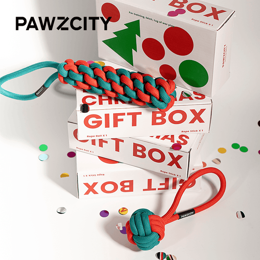 Christmas Gift Box for Dogs: Festive Rope Toy Set with Greeting Card