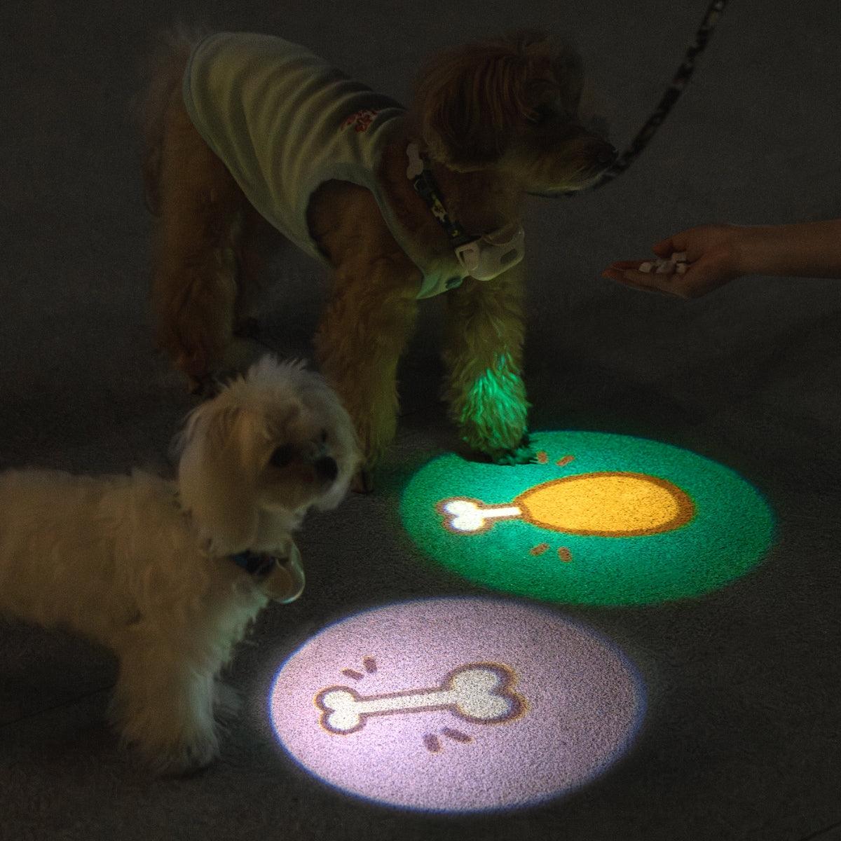 MoodLume LED Pet Safety Light