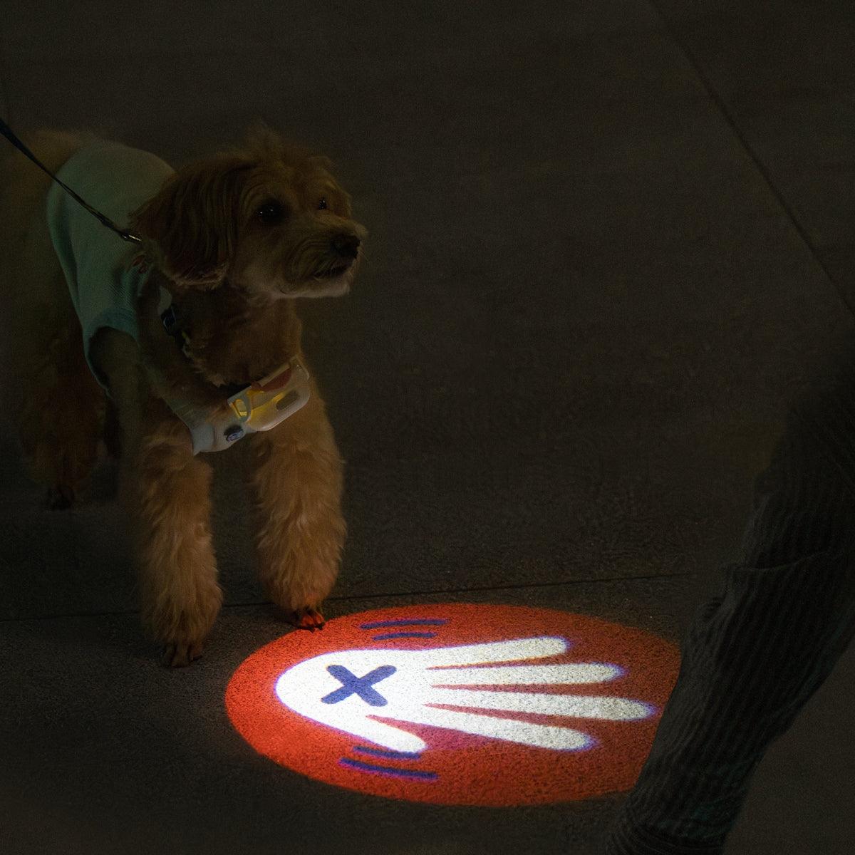 MoodLume LED Pet Safety Light