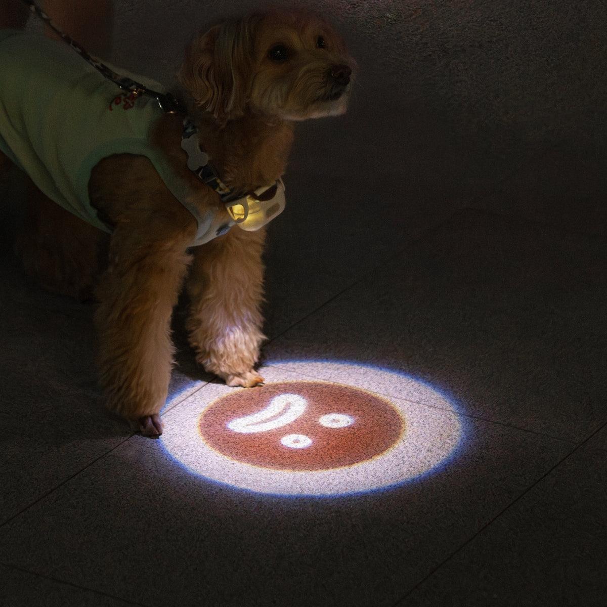 MoodLume LED Pet Safety Light