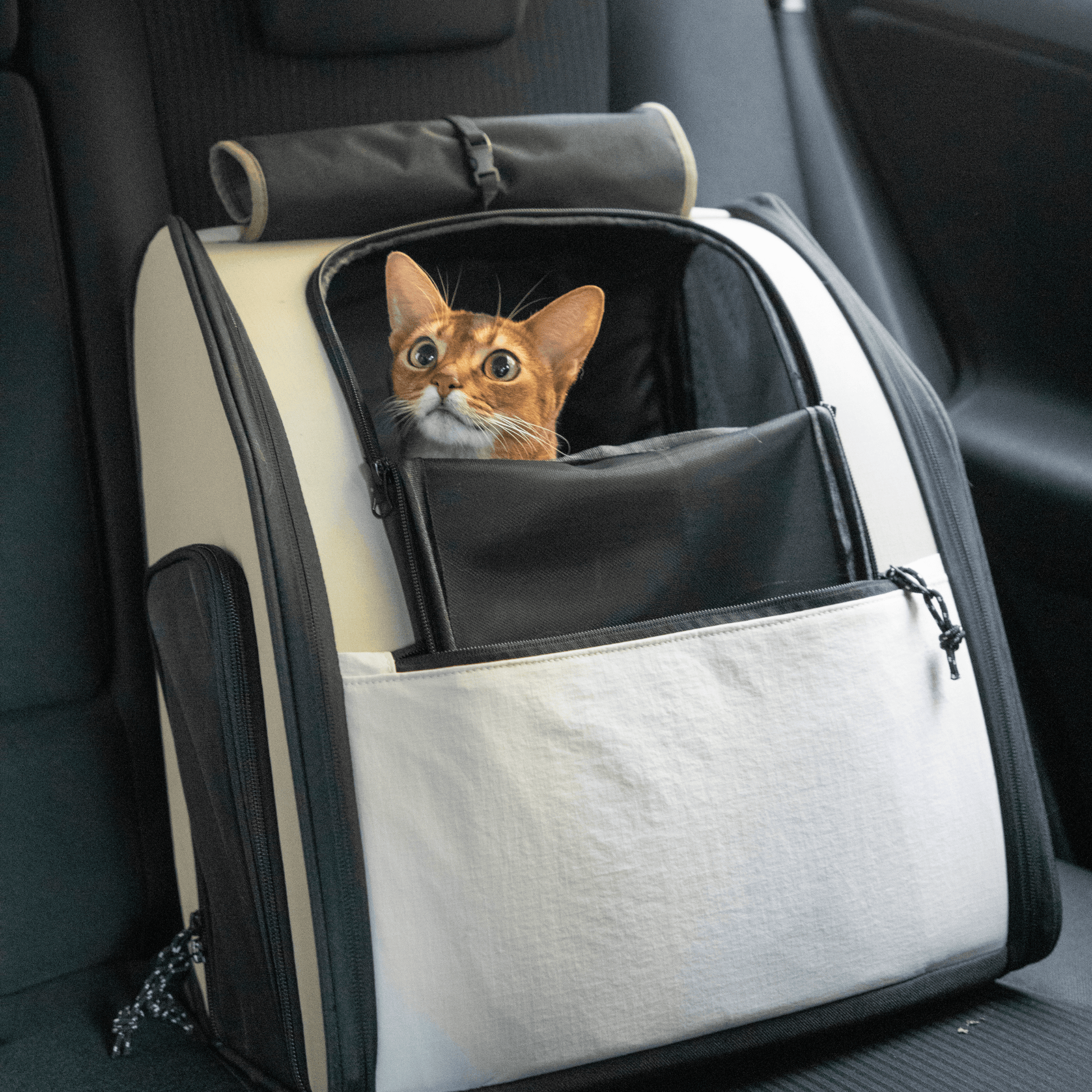 HiDREAM Pet Carrier Backpack Comfortable Adjustable Padded Shoulder Breathable Mesh - PetzyMart