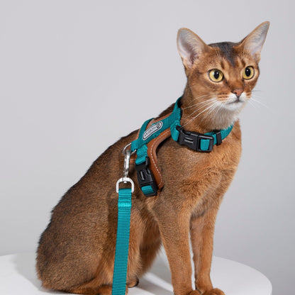 HiDREAM Bobo Series - Leather Patchwork Cat Vest Cat Harness and Leash Set Escape Proof Kitten Harness - PetzyMart