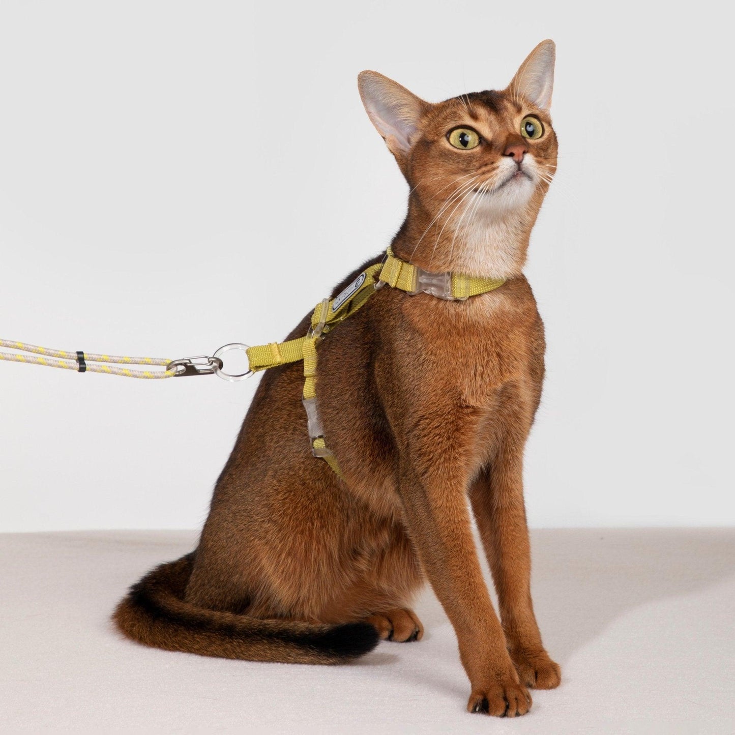 HiDREAM Bobo Series - Rope Spliced Nylon Cat Vest Cat Harness and Leash Set Escape Proof Kitten Harness - PetzyMart