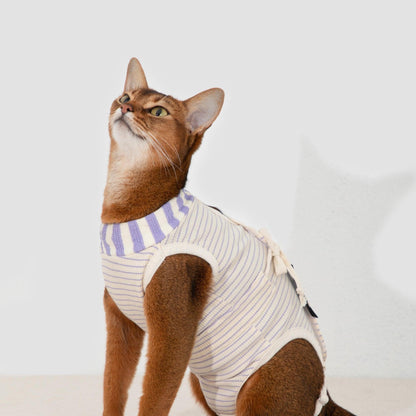 HiDREAM Cat Anti-breakaway Surgery Recovery Suit Cat Onesie - PetzyMart