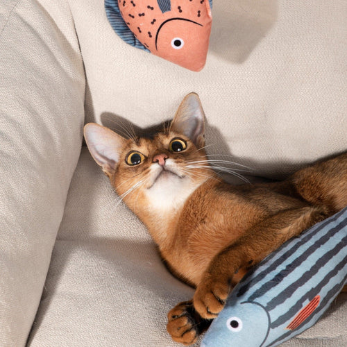 HiDREAM Catnip Fish Toy - PetzyMart