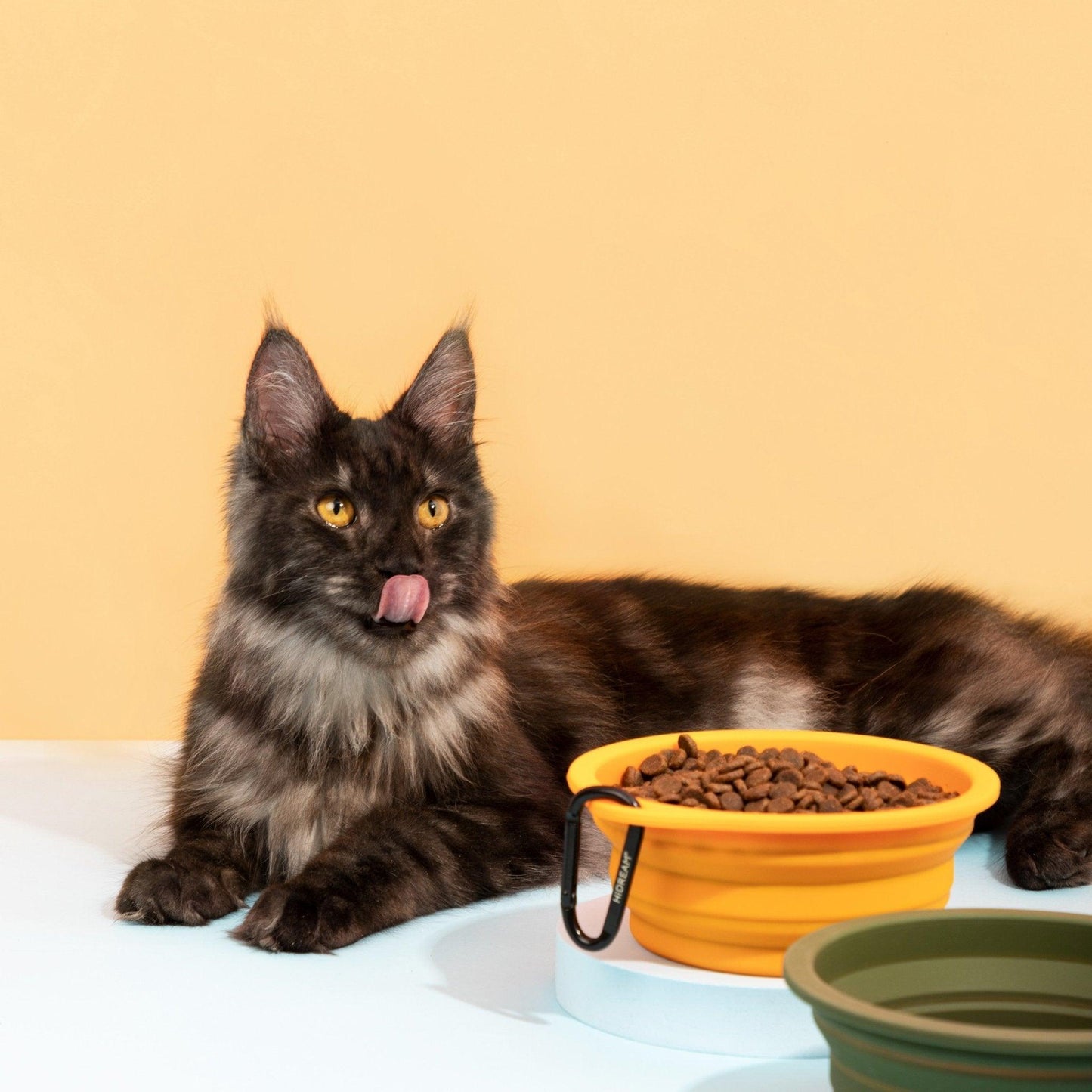 HiDREAM Collapsible Pet Bowls for Travel - PetzyMart