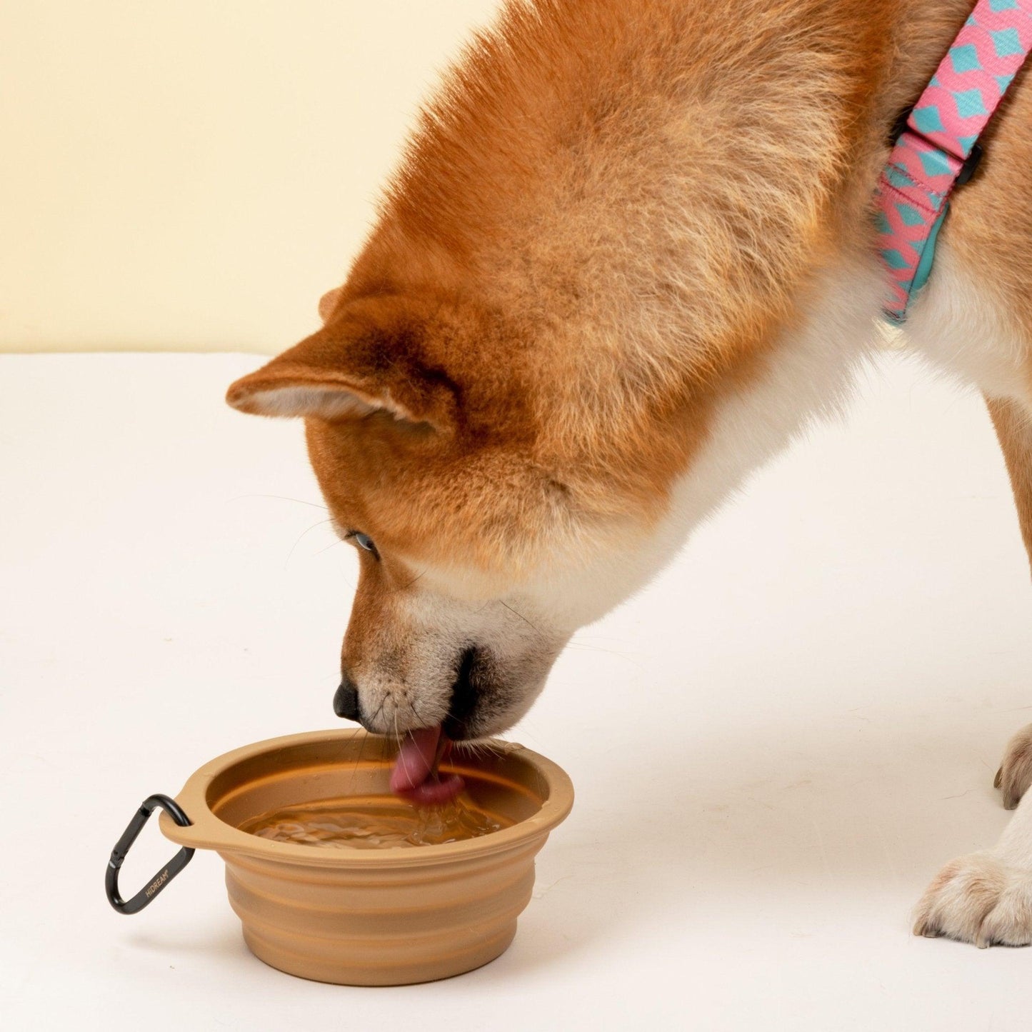 HiDREAM Collapsible Pet Bowls for Travel - PetzyMart