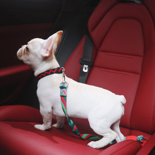 HiDREAM Colorful Series - Dog car Safety Belt Seat Belt Retractable Dog Car Harness - PetzyMart