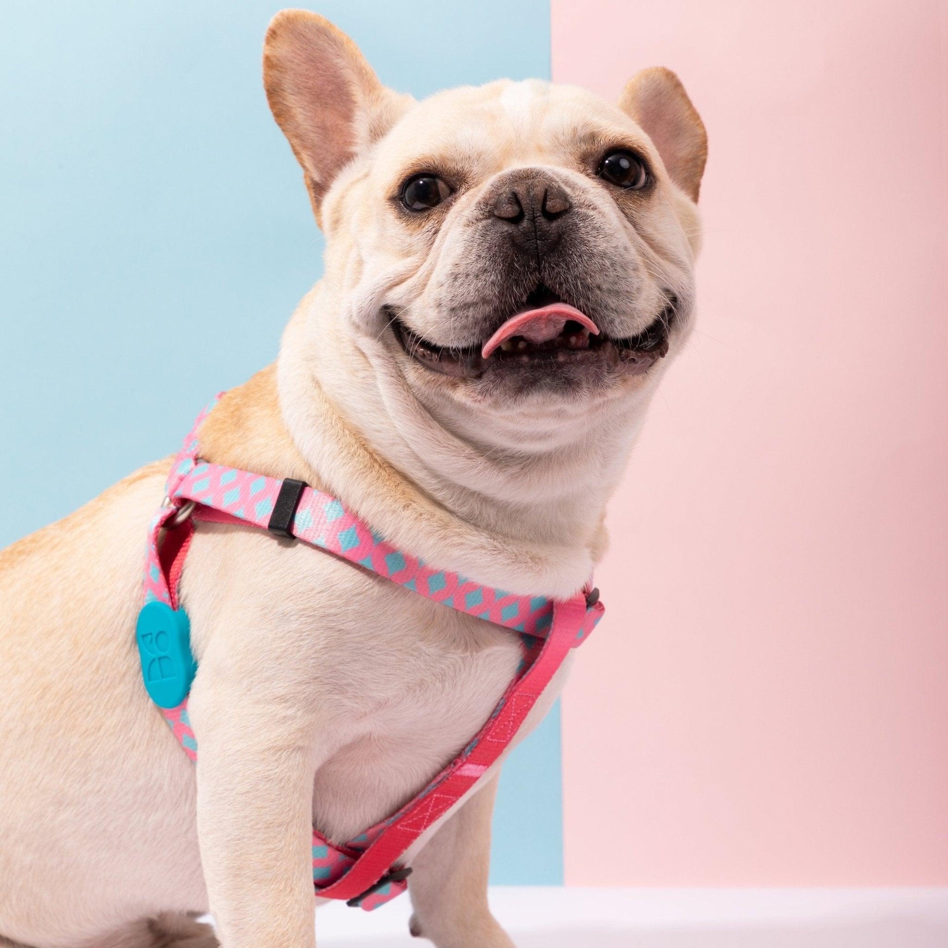 HiDREAM Colourful Series - Y Shape Dog Harness Bundle No-Pull Adjustable Soft Padded Dog Vest Harness - PetzyMart