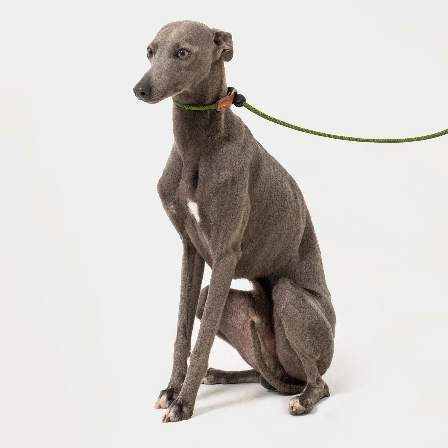 HiDREAM Dog Leash,Reflective microfiber leather Handle Lead for Control Safety Training - PetzyMart