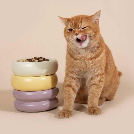 HiDREAM Donut Ceramic Pet Bowl Modern and Stylish Pet Feeding Bowl - PetzyMart