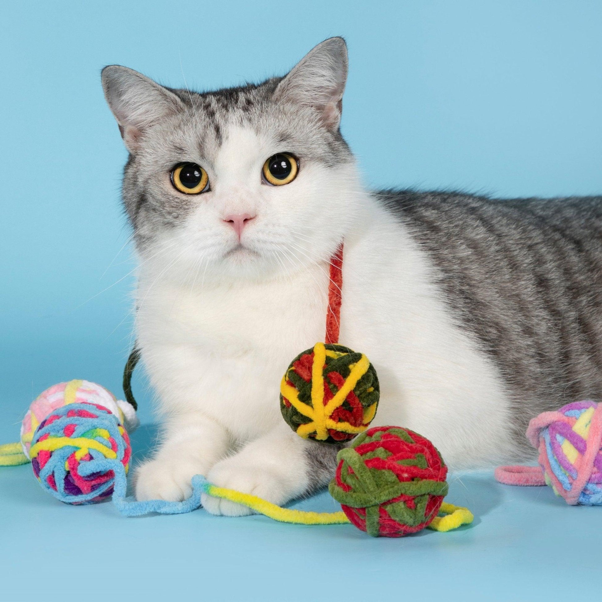 HiDREAM Hairball Bell Toys - PetzyMart