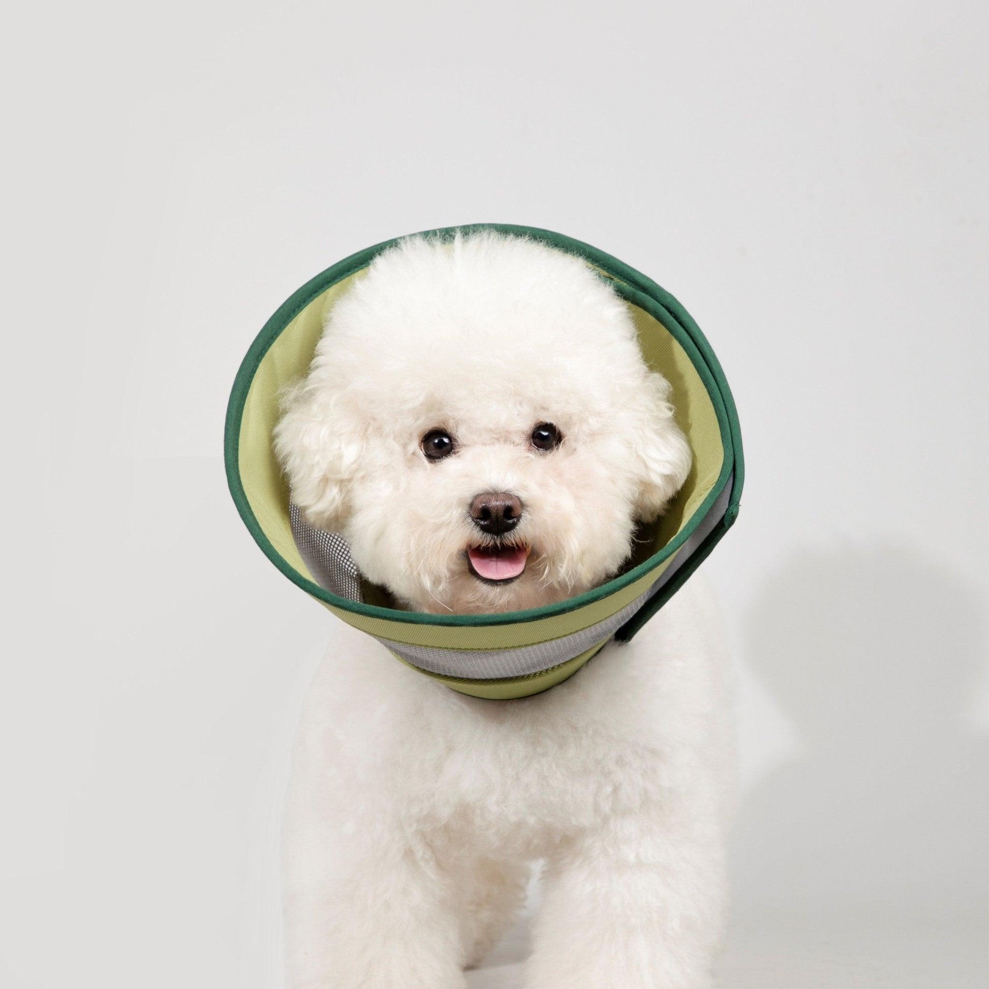 HiDREAM Mesh Elizabethan Circle Protective Headgear - PetzyMart