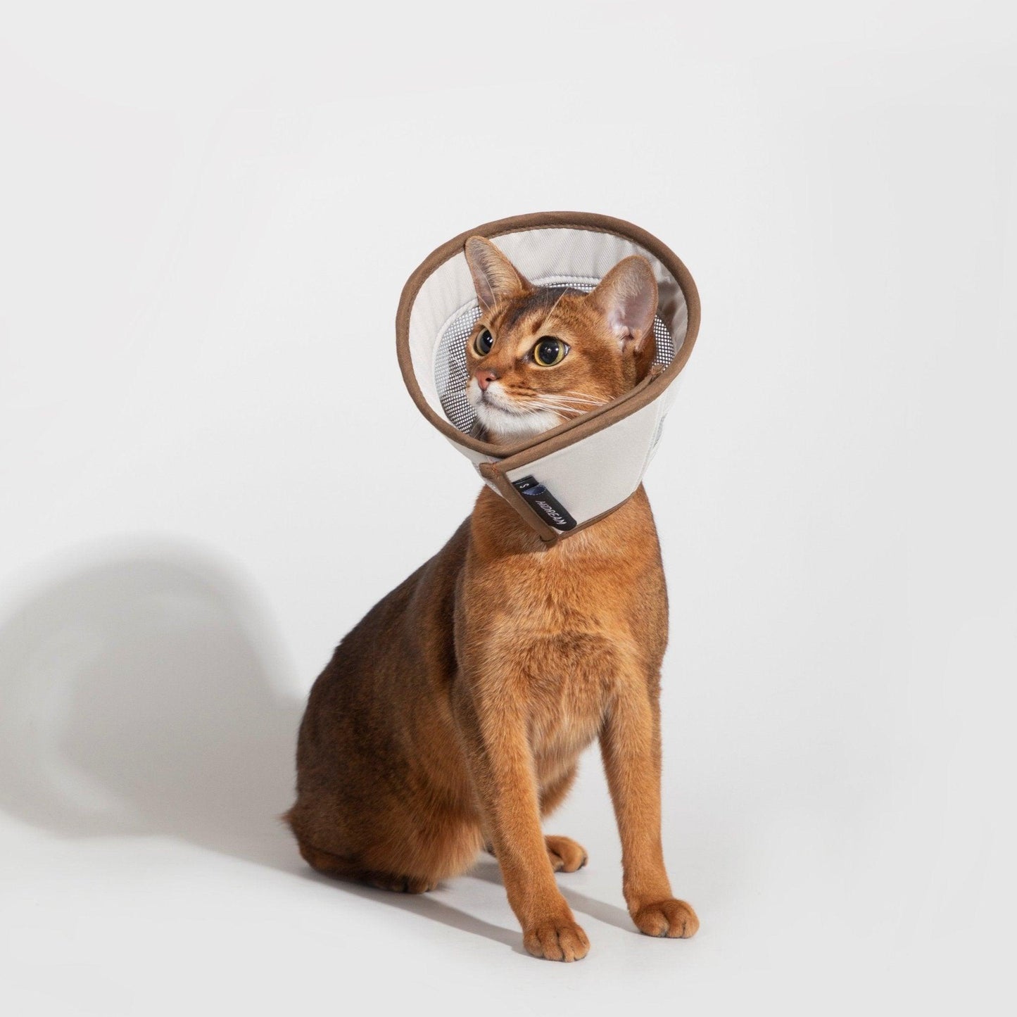 HiDREAM Mesh Elizabethan Circle Protective Headgear - PetzyMart