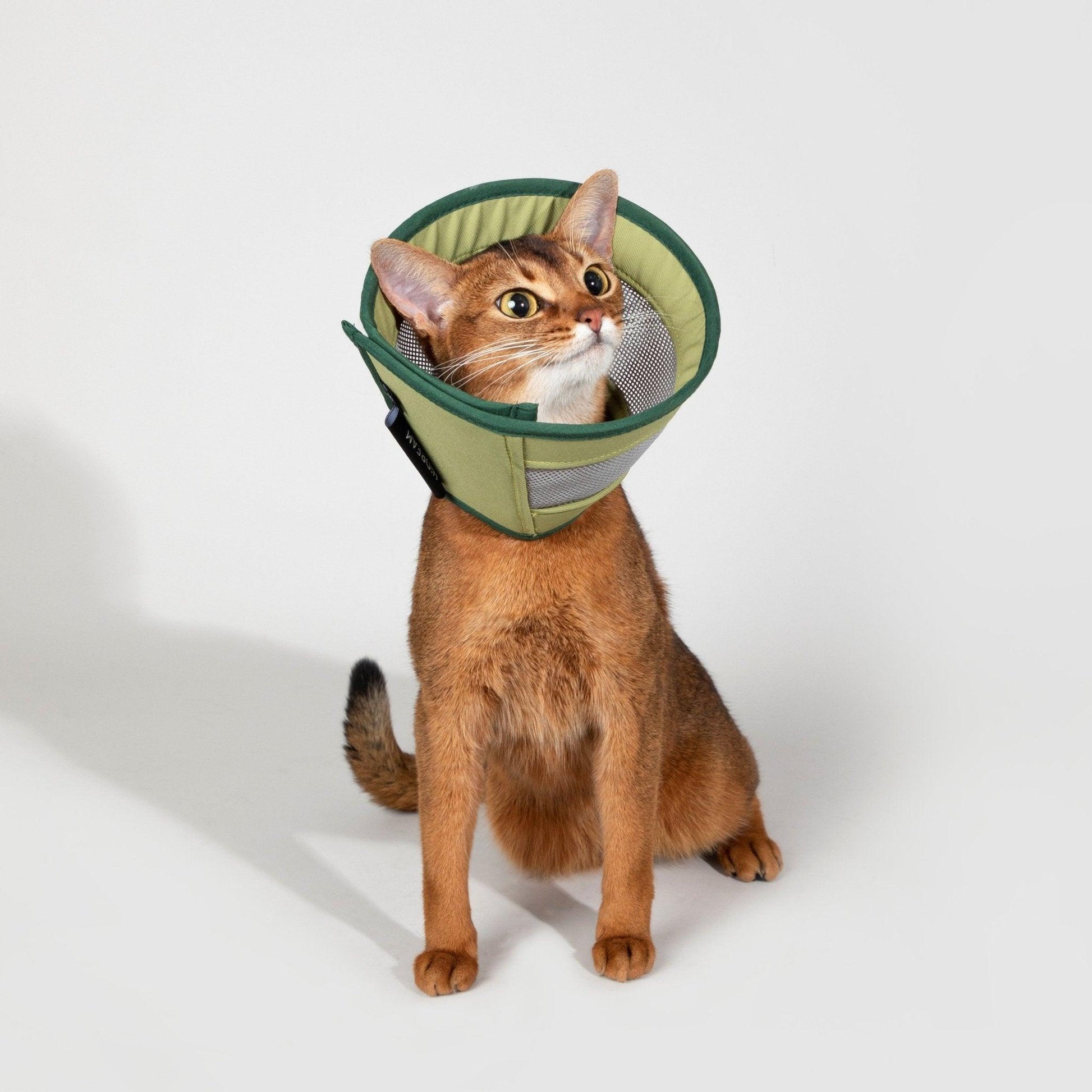 HiDREAM Mesh Elizabethan Circle Protective Headgear - PetzyMart