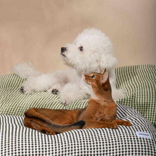 HiDREAM Pet Bed Luxurious Comfort Modern Design Non-Slip Base Soft Bed for Pets - PetzyMart